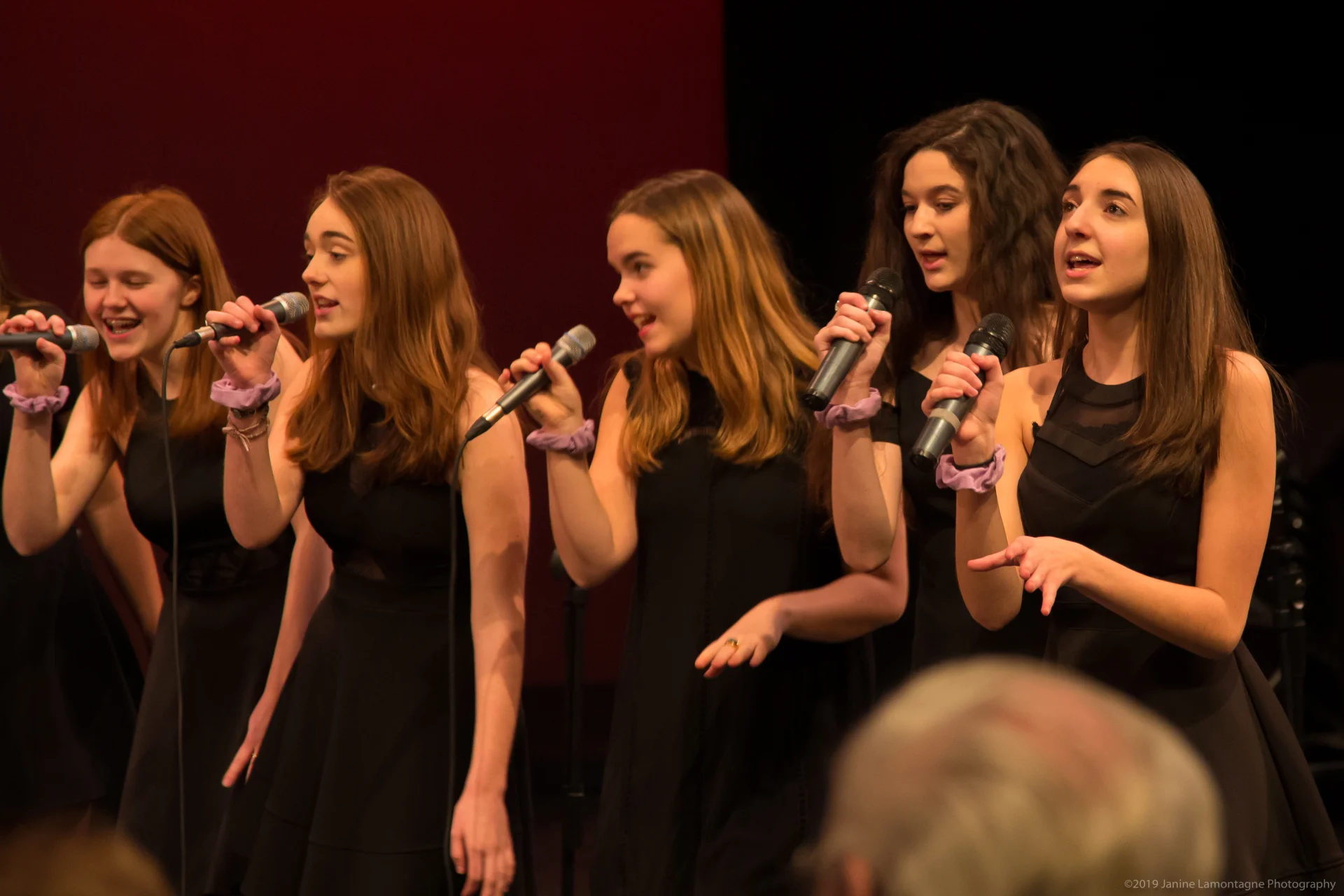 All That Jazz 2019 5983 Copy.webp